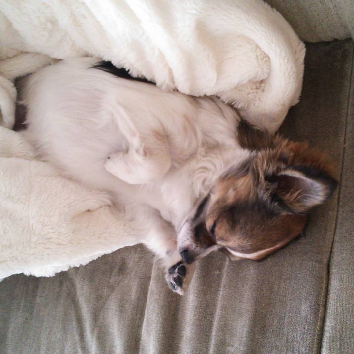 A69b1fb0 4070 4127 bf6f a5048e653584