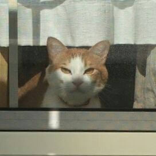 A69b4a19 b95e 404c 9652 65c537c19cd3