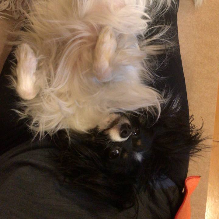 A69b6b44 be08 4d0c 9ce2 2d6b3f1a2eec