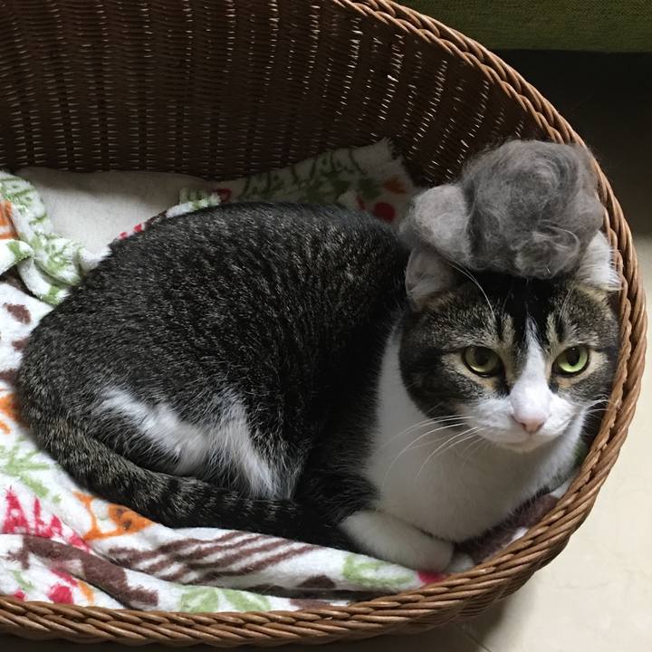 A69c19e9 f564 46d7 8a66 3eace8b45a5d