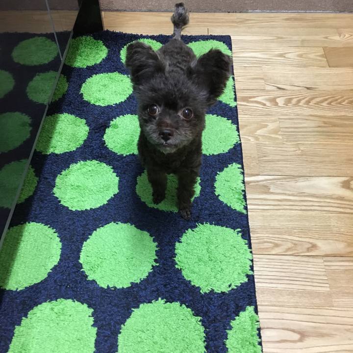 A69cabba 82c3 4548 997c 63ae2e1f2c79