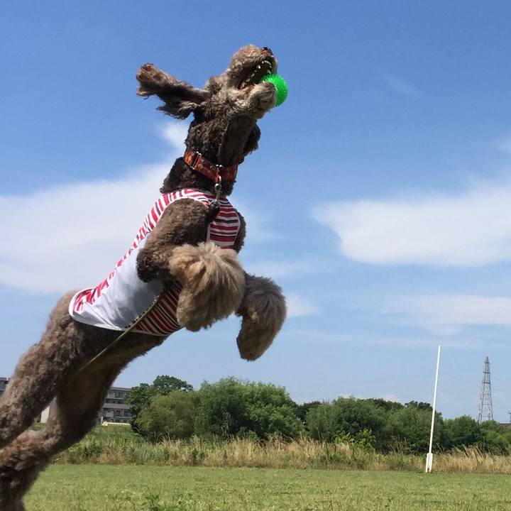 A69cd887 5fbe 4dd9 9424 547bc4914c0a