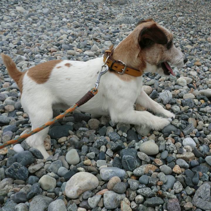 A69d1086 e20d 4a30 bcea b6531acf7d02