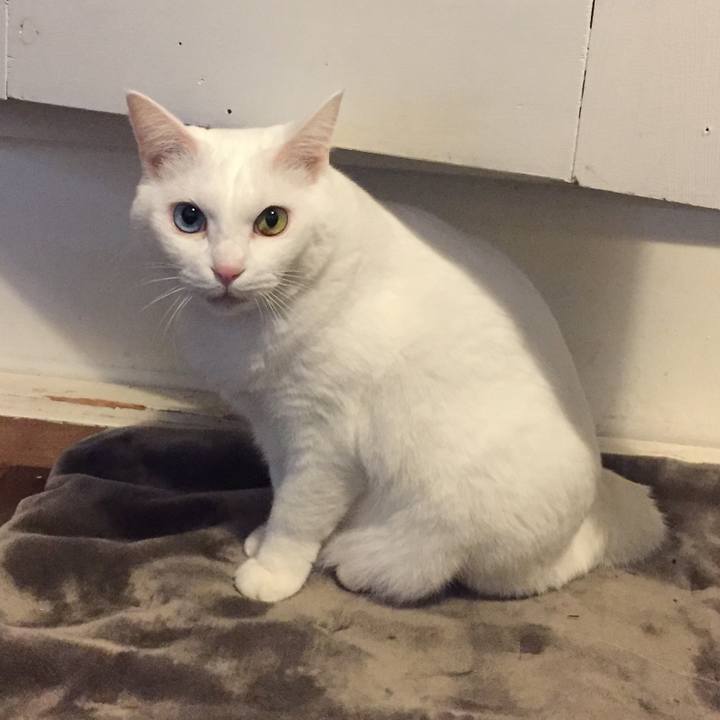 A69df4c0 4d26 4f41 b51e 11508cdcc684