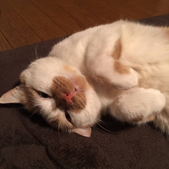 A69e037f ff31 4dfc bee4 b1a6d346ee6f