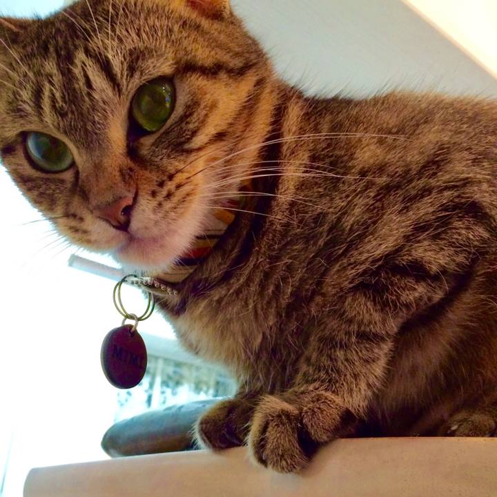 A69e8ccb e567 4071 b367 f2d4eb636142