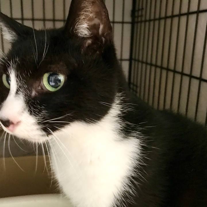 A69e9253 3b55 4d48 a72d 5d1c9ff1ca0b