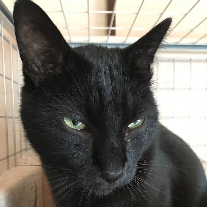 A69e9cb7 ed17 45a3 9c8a 20f234db42ea