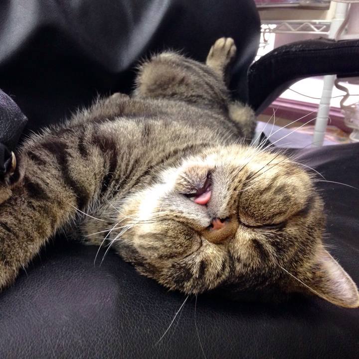 A6a04449 d2d5 4f78 9aff a65dfdd348ca