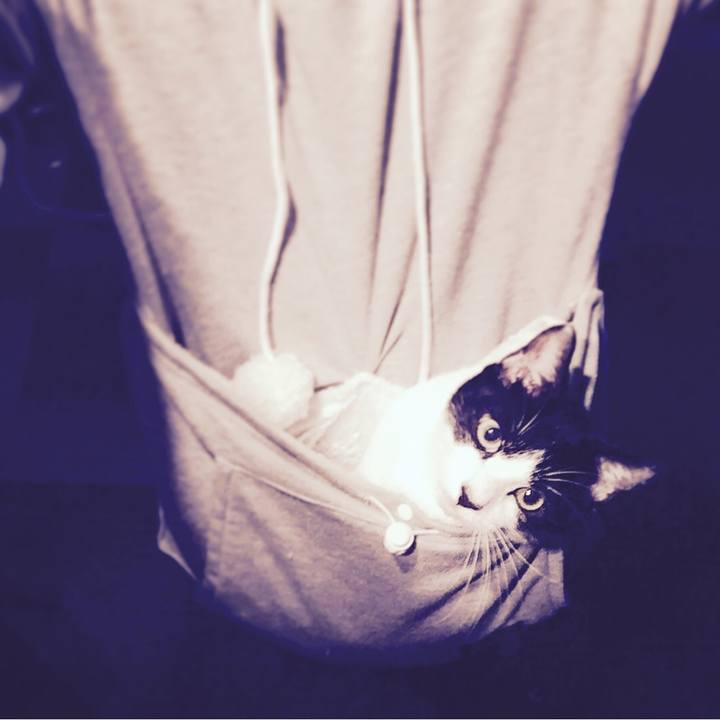 A6a0ae07 2b93 47e1 b345 638c91755bef