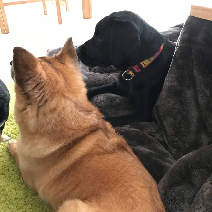 A6a11d25 dcf2 49a4 8820 0336ce84e472