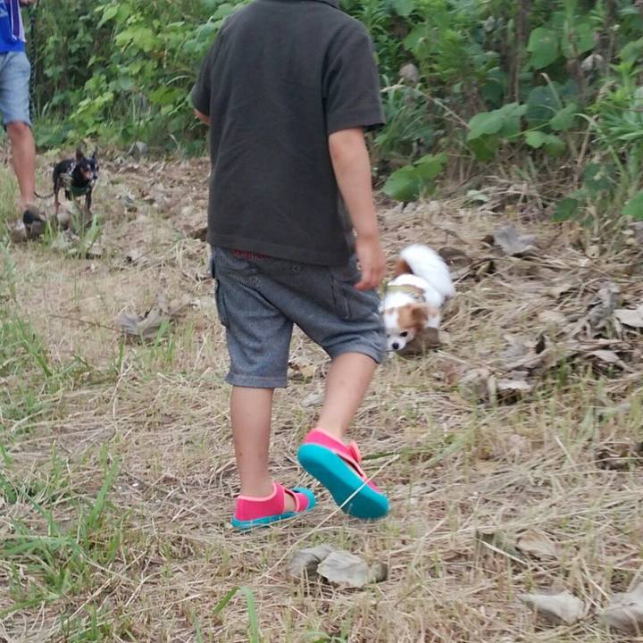 A6a17f13 917b 43bf 8a60 742e7274a895