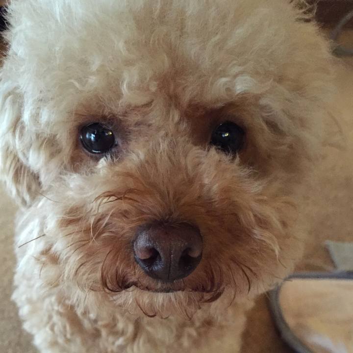 A6a24f0e e443 46d1 a496 269f8f44ff75