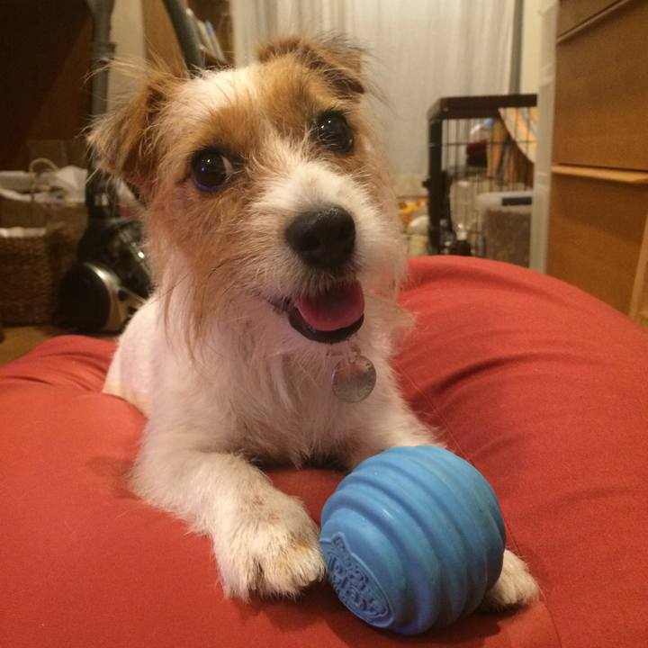 A6a25613 7ba6 4f42 ae85 b43eaf03bcb9