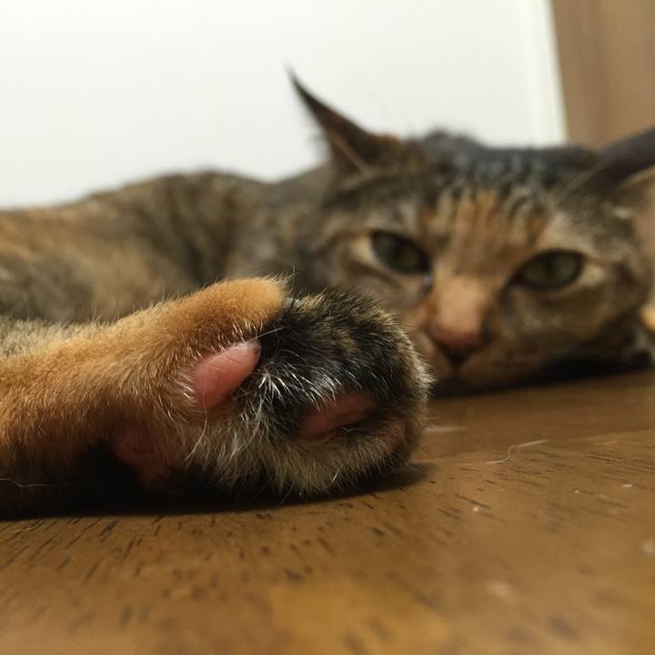 A6a27f4d fc6d 499f 822a abd70baedde5