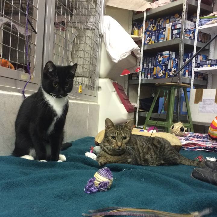 A6a2a912 5487 482c bb1f 2834da916550