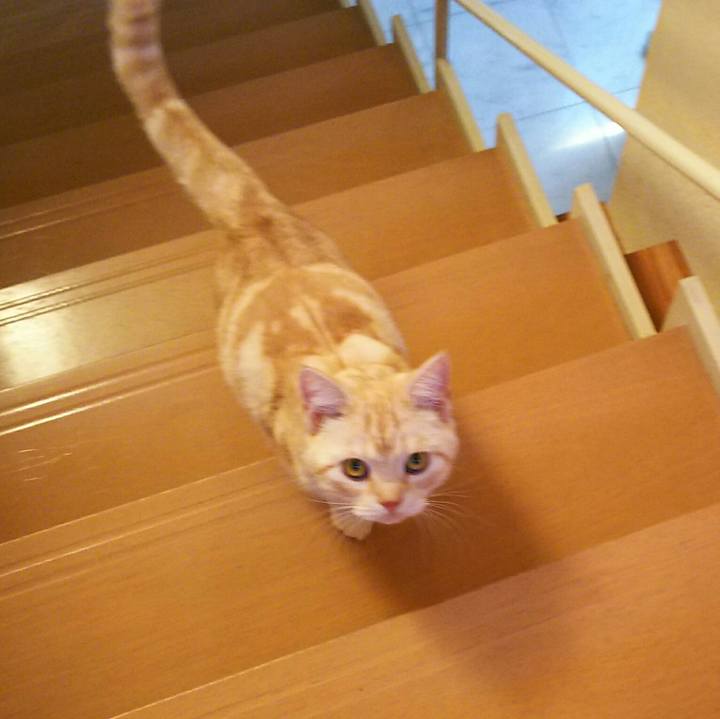 A6a376f7 b4bf 48c3 a1c7 455502de029a