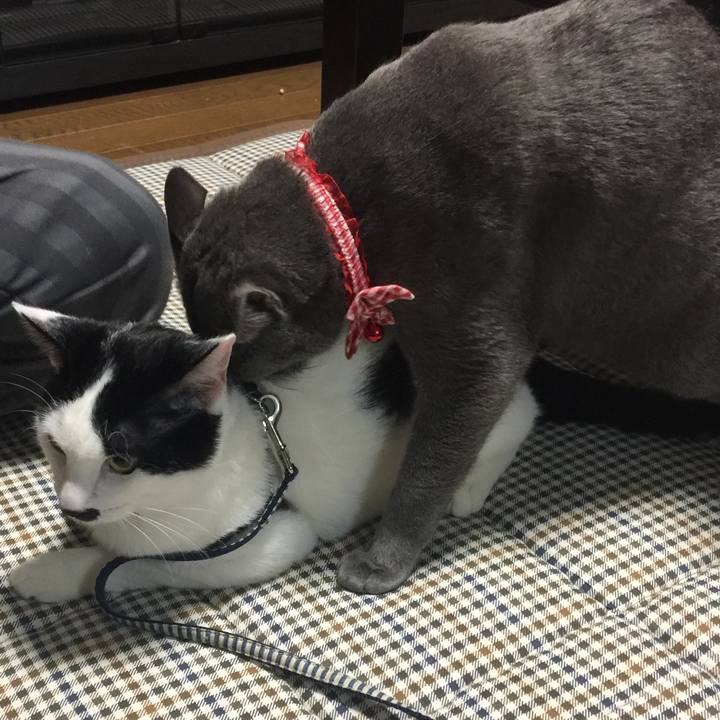 A6a379ae 56bd 42c3 a610 3b9eacf63ee1