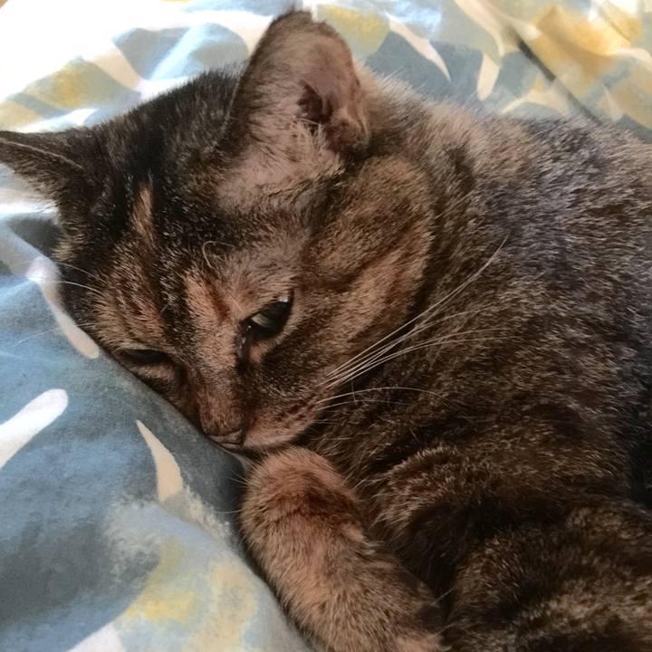 A6a380f3 5b95 4ecd a5a6 61654b222be9