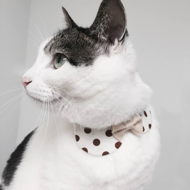 A6a3ade9 5881 45ac 8fdd ff23f3c9fb48