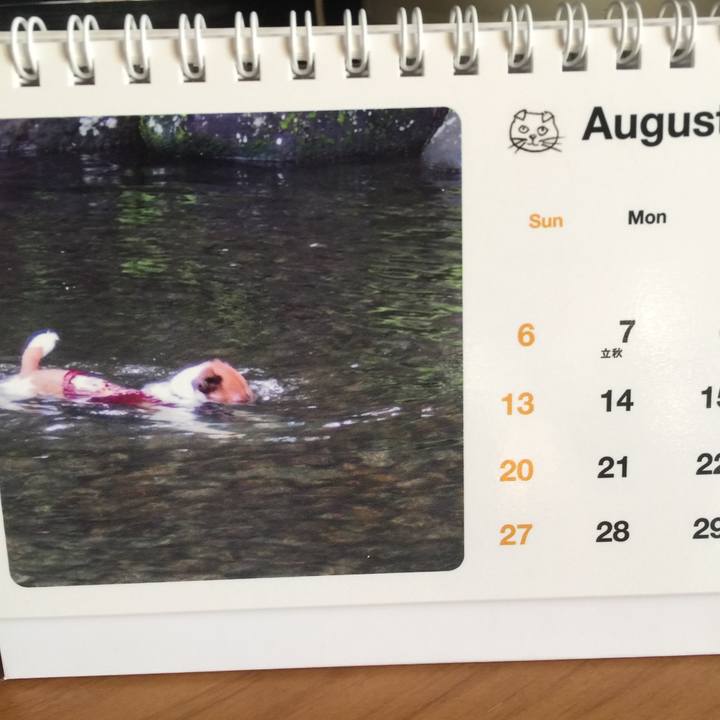 A6a45391 1c00 4398 99ca 4518cf6c9838