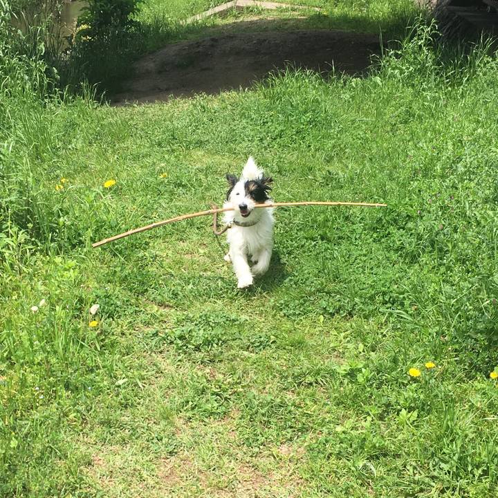 A6a46279 afa5 4251 85b6 6c2e196b6720