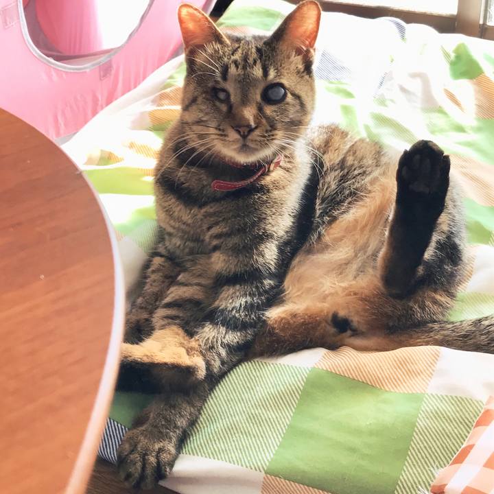 A6a47511 24a9 486f a27b d4f690a4f87f