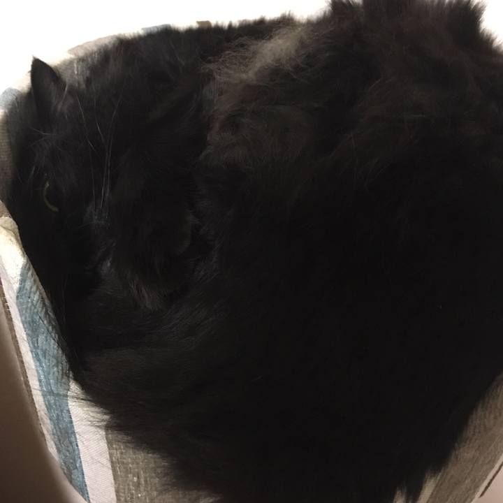 A6a4abc2 ee7b 4351 8b38 42a6b6e25aff