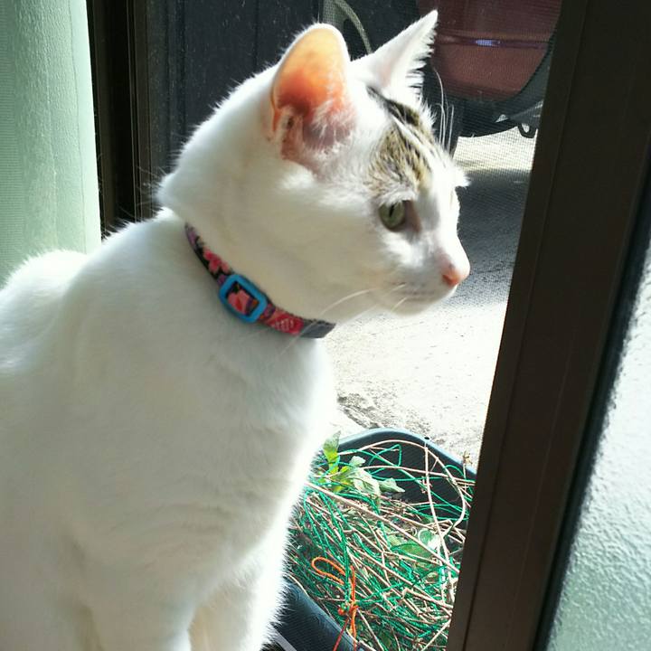 A6a520d5 e3f1 4192 a419 4e9d166c1005