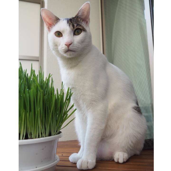 A6a53815 1294 4b73 aa70 9cf25beb33a8