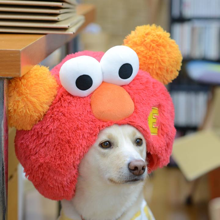 A6a556f6 1766 45f8 8515 0e4352d1fec6