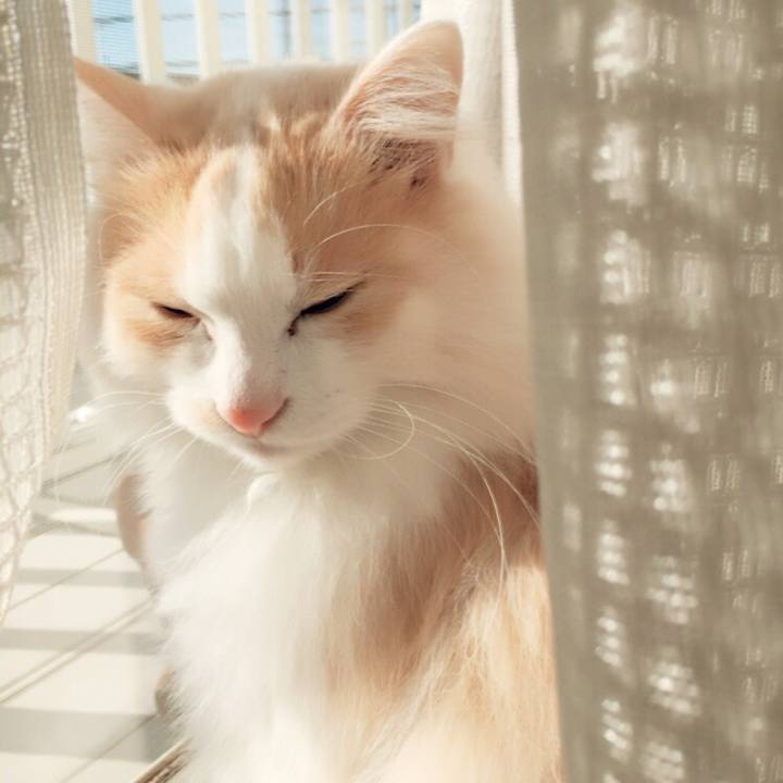 A6a63421 2dd5 4bd1 8106 1a6d6f698dce