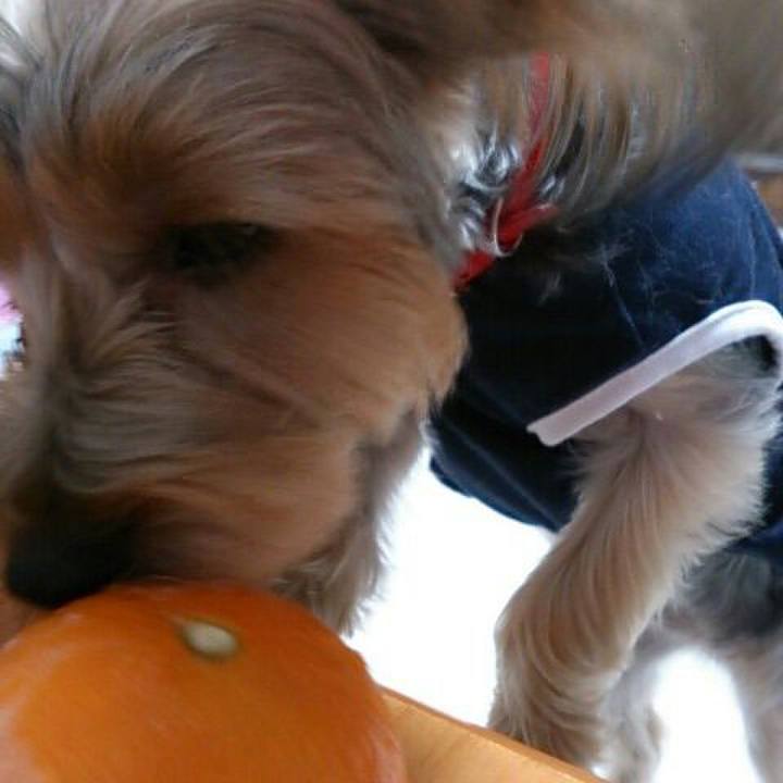 A6a649b1 5ec9 43b3 8066 d5f44b59a7e4