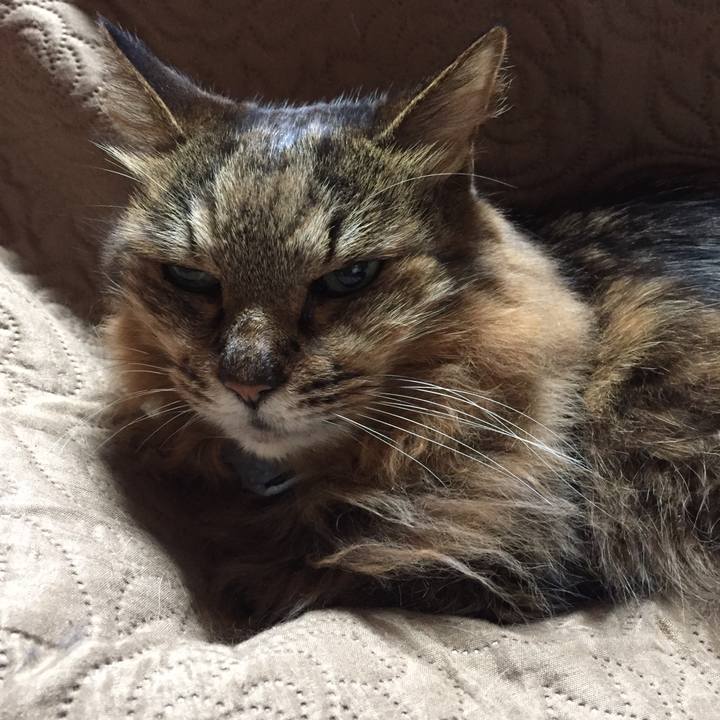 A6a68118 6c2d 4817 993e 427bb6487aa1