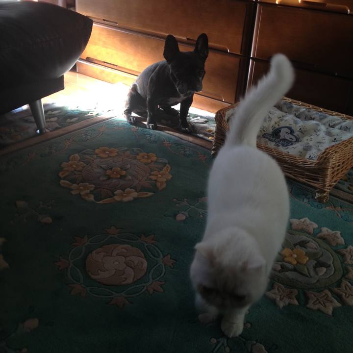 A6a6ef6d c8ce 4382 9b5e 6c7fa474ebcf