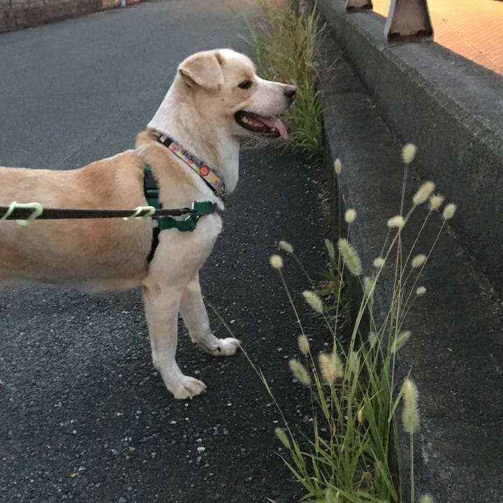 A6a6efc6 c901 4823 8b28 56eef73a13aa