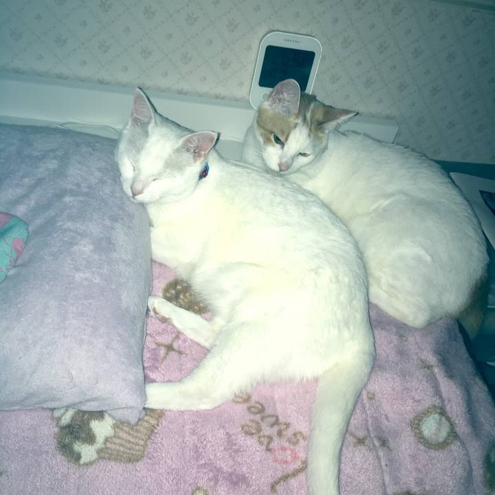 A6a7413d 90f3 420e 9352 2d0d11bc3dfa