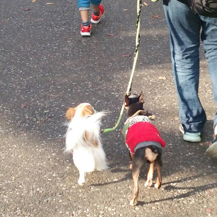 A6a78cad 6564 4828 b708 e1a843157354