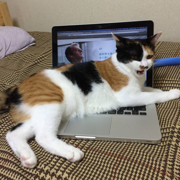 A6a7d4d7 c0ba 4fd3 aa16 a22a83d7a739