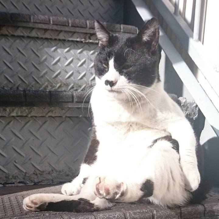 A6a8aa60 d037 4e69 84ce d6d42a37f324