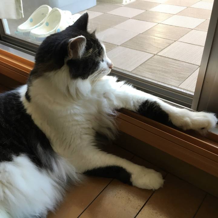 A6a8c358 a758 495c 94ac b25979e27c64