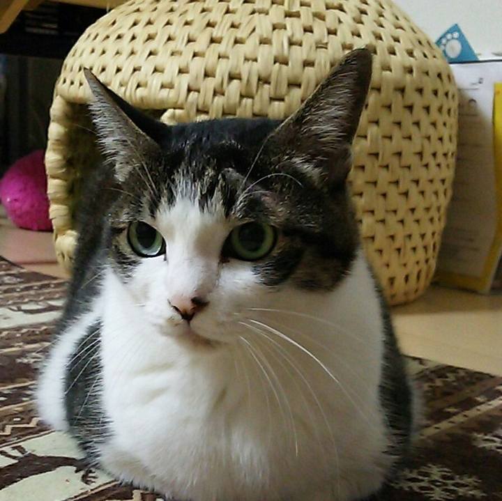 A6a8df58 1b15 4ae4 b934 629d716f69b6