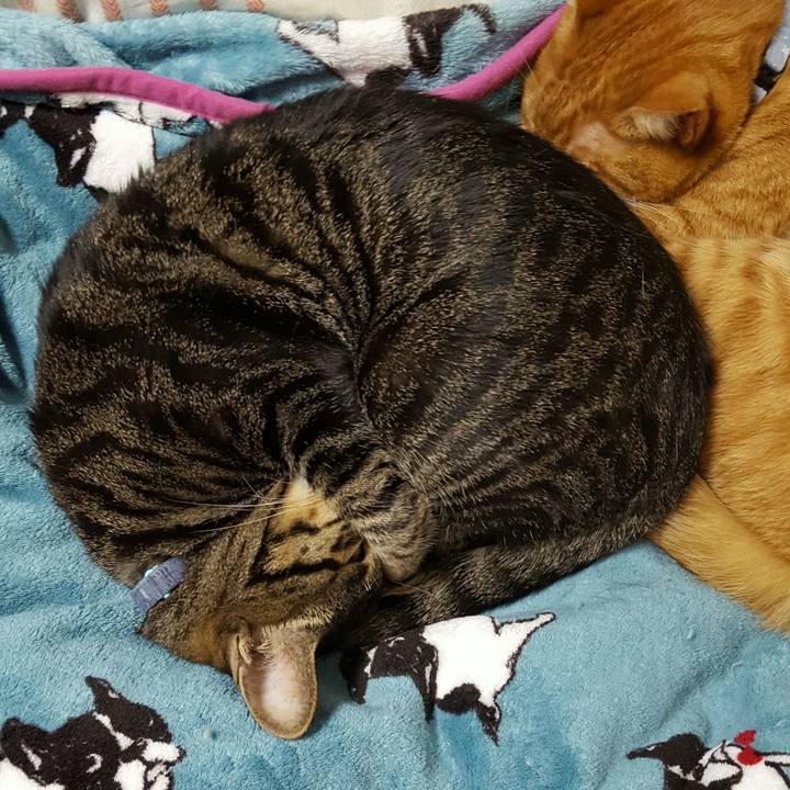 A6a8e5e0 993a 41a7 893c 12609d4d284b