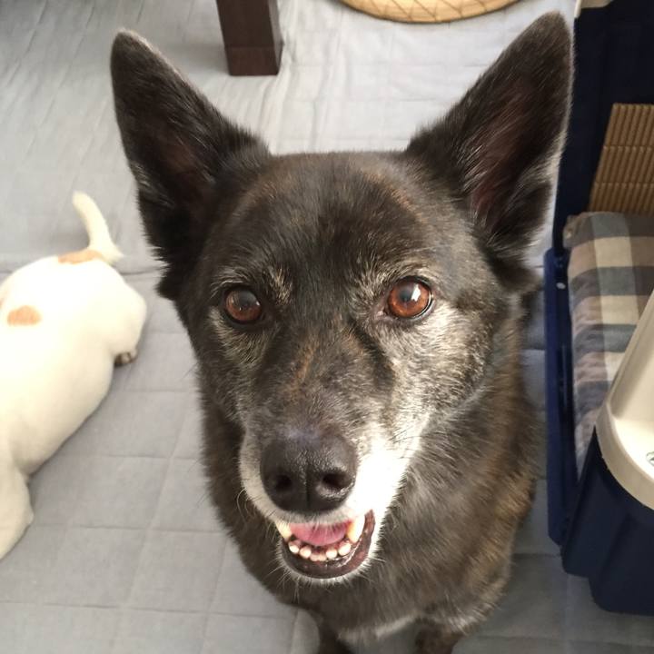 A6a940f2 fb64 47bd 8fe8 9219e02a8ac0