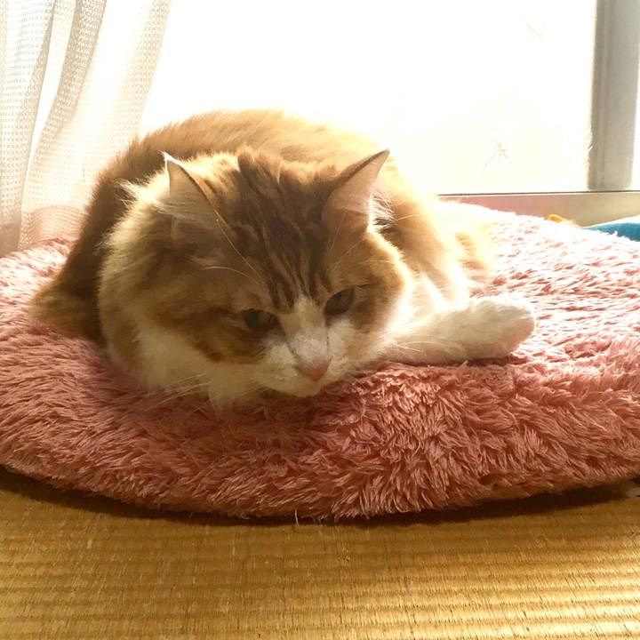 A6a9d65a 16a2 47fe ac78 66d7a1f9c43e