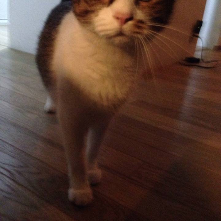 A6aa3247 2ab0 4d1a 8bae 5f200961c97d