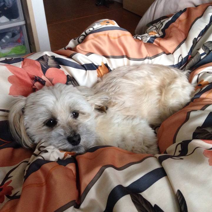 A6aa755e 3aae 4084 819c d41ae2434294