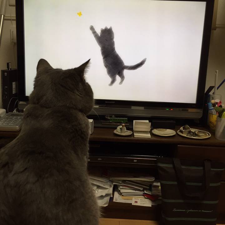 A6aa7f96 6323 46e6 bebf 7a6f25203fc3