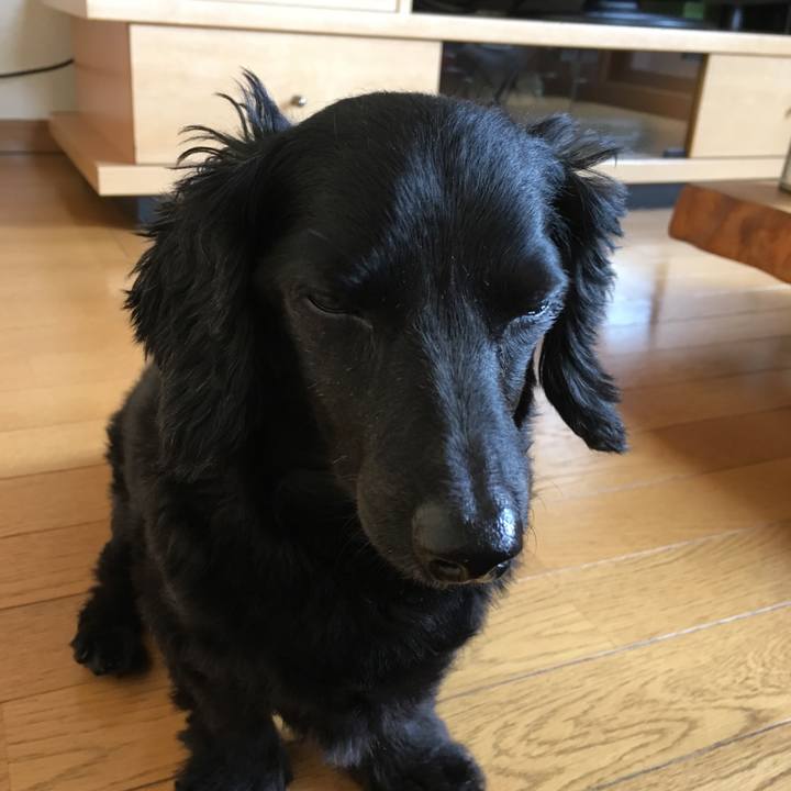 A6ac4c07 2163 4930 8df5 9f64ec2fa545