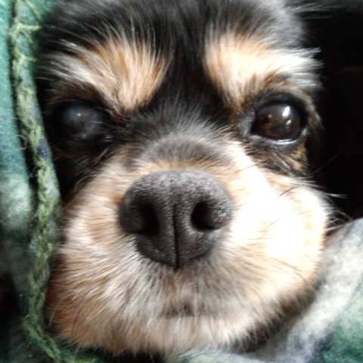 A6aca2e0 8703 4f68 b629 fe4954a30d01